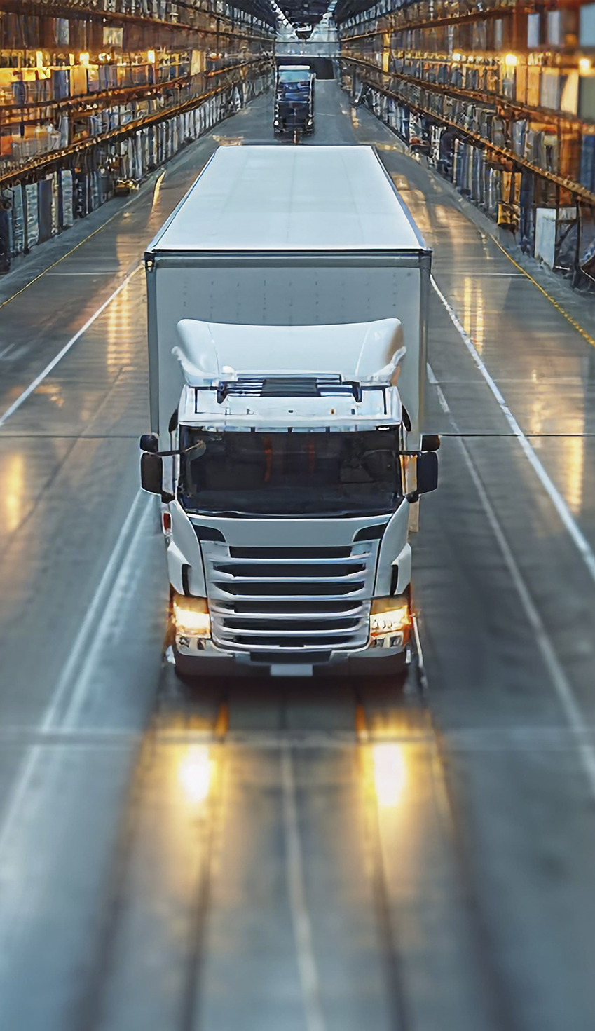 Image hover effect image